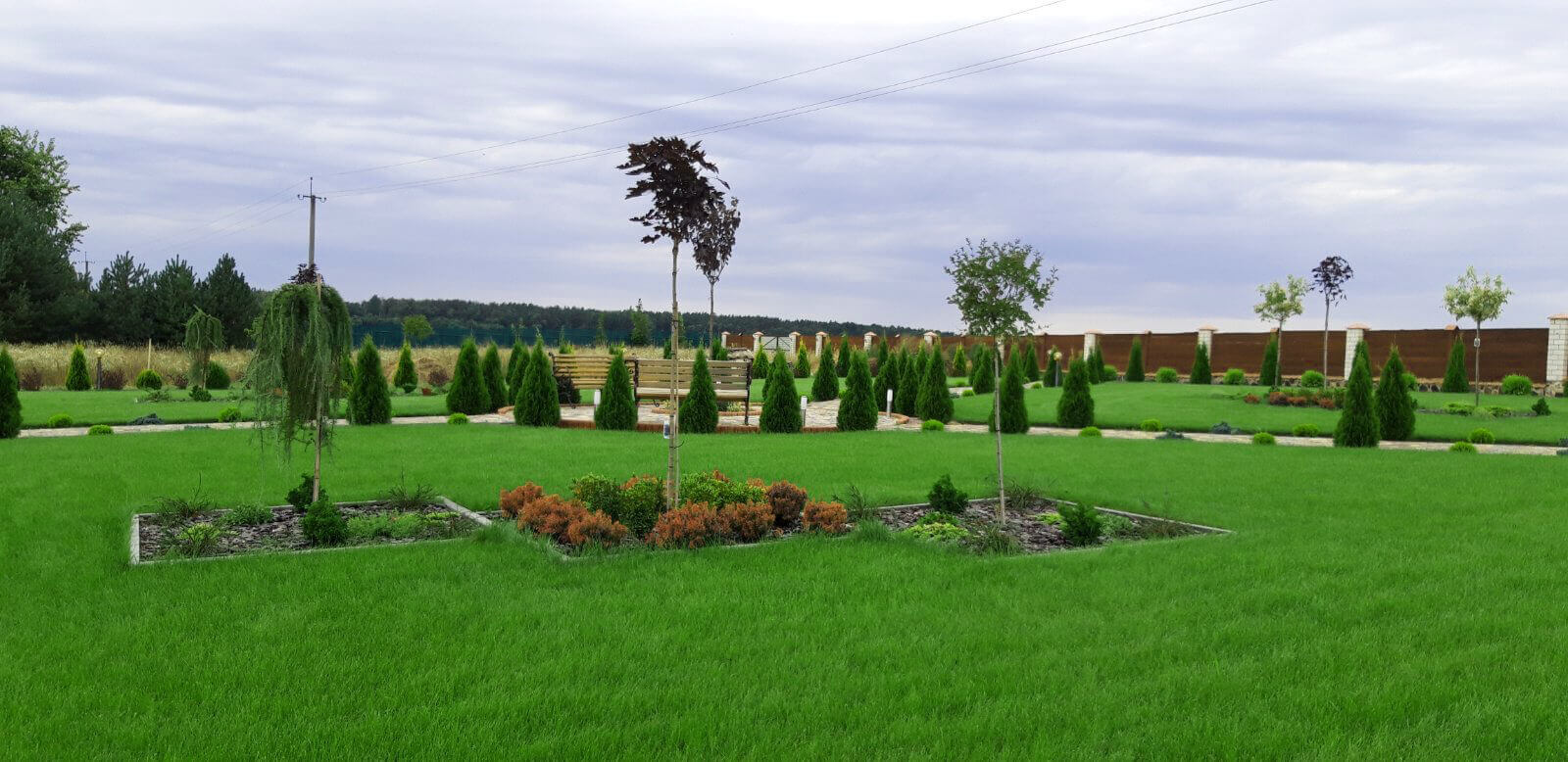 Сад